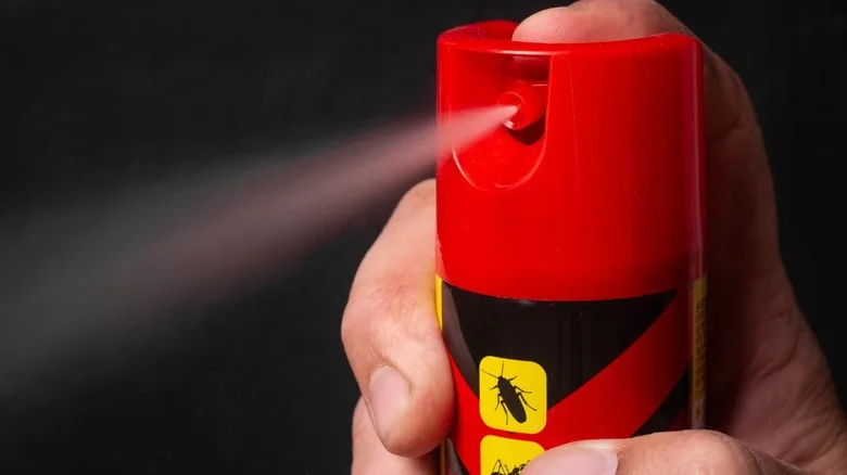 7 Common Objects You Should Never Leave in a Hot Car