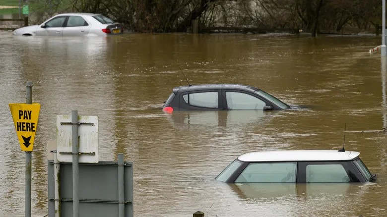 More Americans Need To Learn How To Escape A Sinking Car, Survey Finds