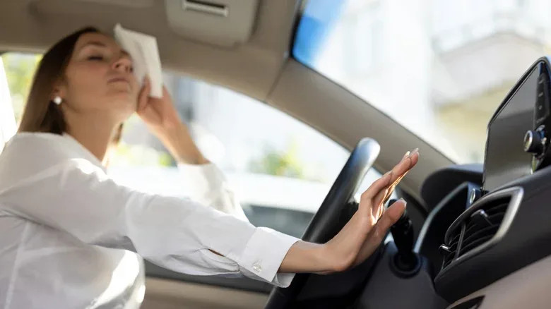 7 Common Objects You Should Never Leave in a Hot Car