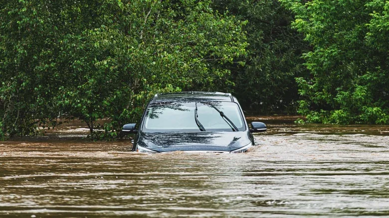 More Americans Need To Learn How To Escape A Sinking Car, Survey Finds