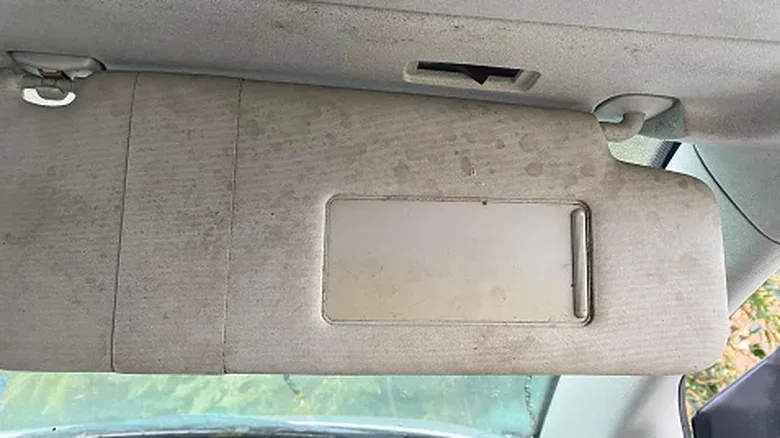 Signs of Mold Growing in Your Car (And How to Stop It)