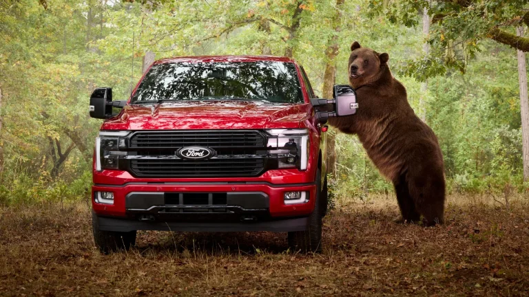Ford alege ursul pentru a testa pachetul de securitate F-150