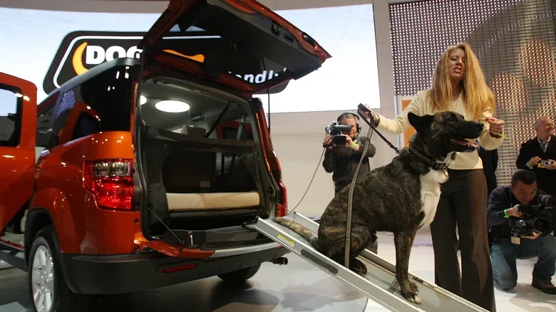 These Are the Best Cars for Your Dog