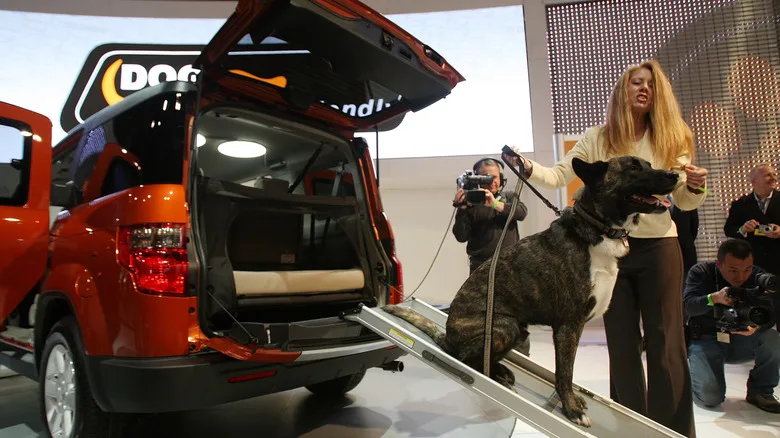 These Are the Best Cars for Your Dog