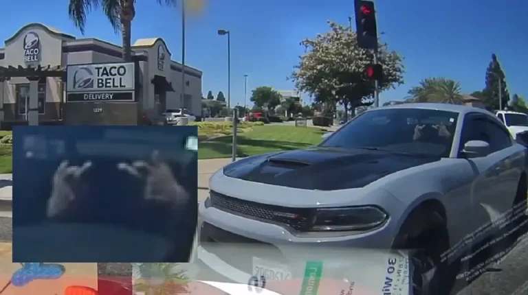 سانتا آنا، كاليفورنيا: فشل سائق Dodge Charger في الانعطاف، مما جعل سيارة Dashcam على شكل حرف T تقريبًا تنعطف بشكل قانوني