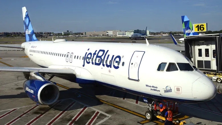 Drone Strikes JetBlue Plane During Landing at JFK Airport
