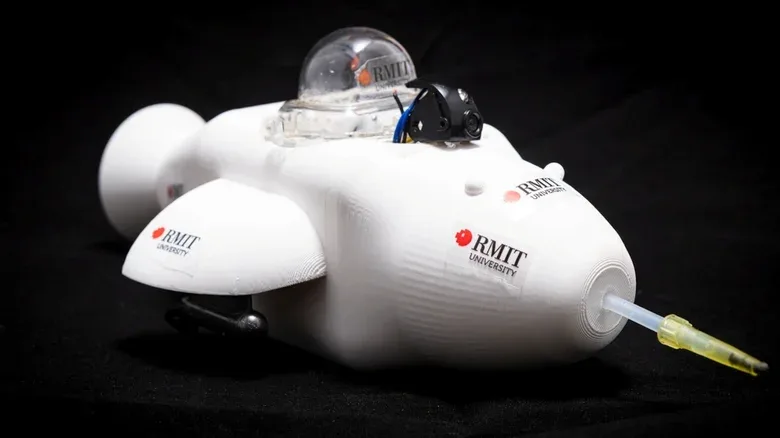 This Cute Little Robot Could Be the Future of Oil-Spill Cleanups