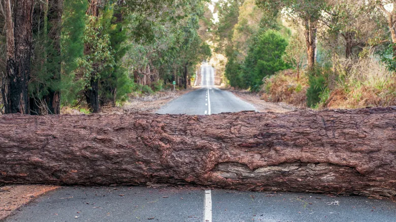 Here’s What a Pink Road Sign Actually Means