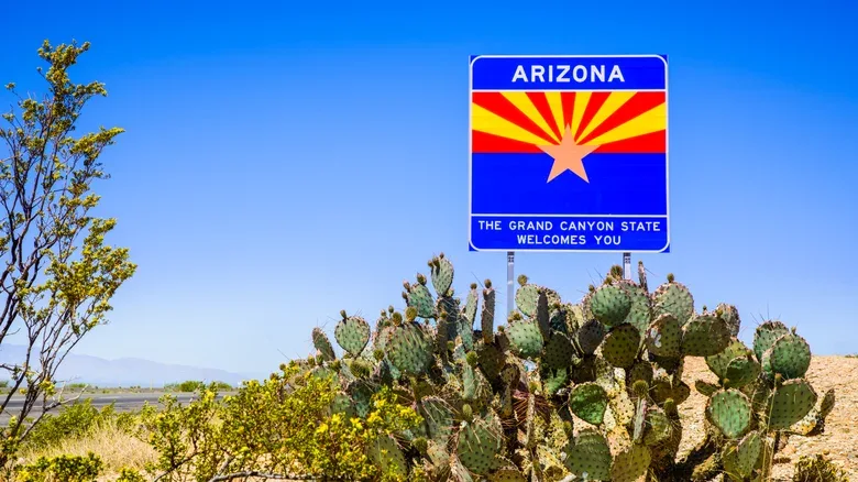 Why Digital IDs Won't Replace Physical Driver's Licenses