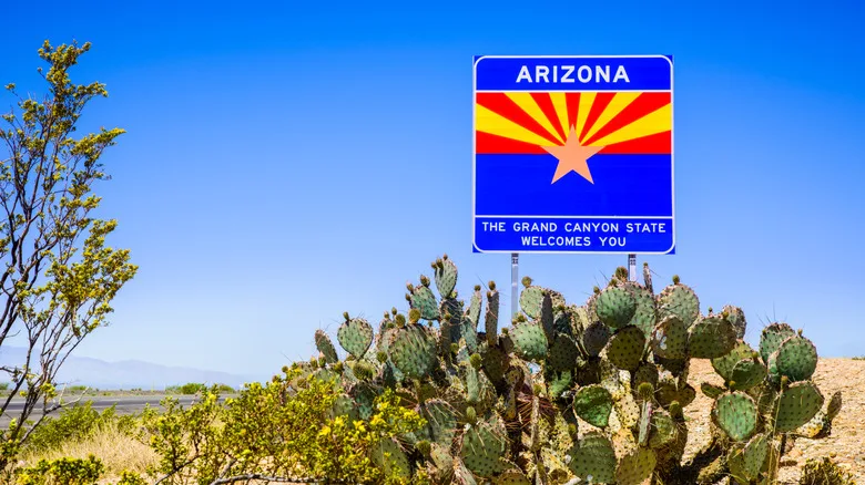 Why Digital IDs Won't Replace Physical Driver's Licenses