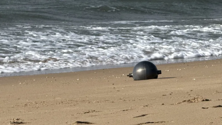 Metal Spheres from Space Wash Up on Australian Shores — Australian Space Agency Investigates