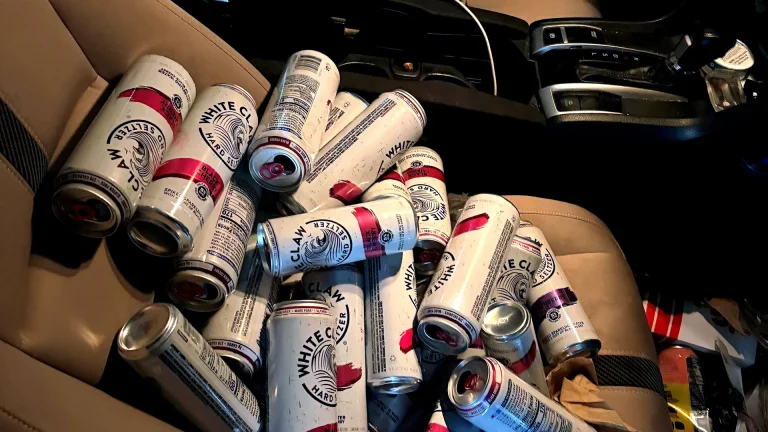 Un bărbat din Florida ar fi condus 90 mph cu 34 de gheare albe deschise pe scaunul pasagerului
