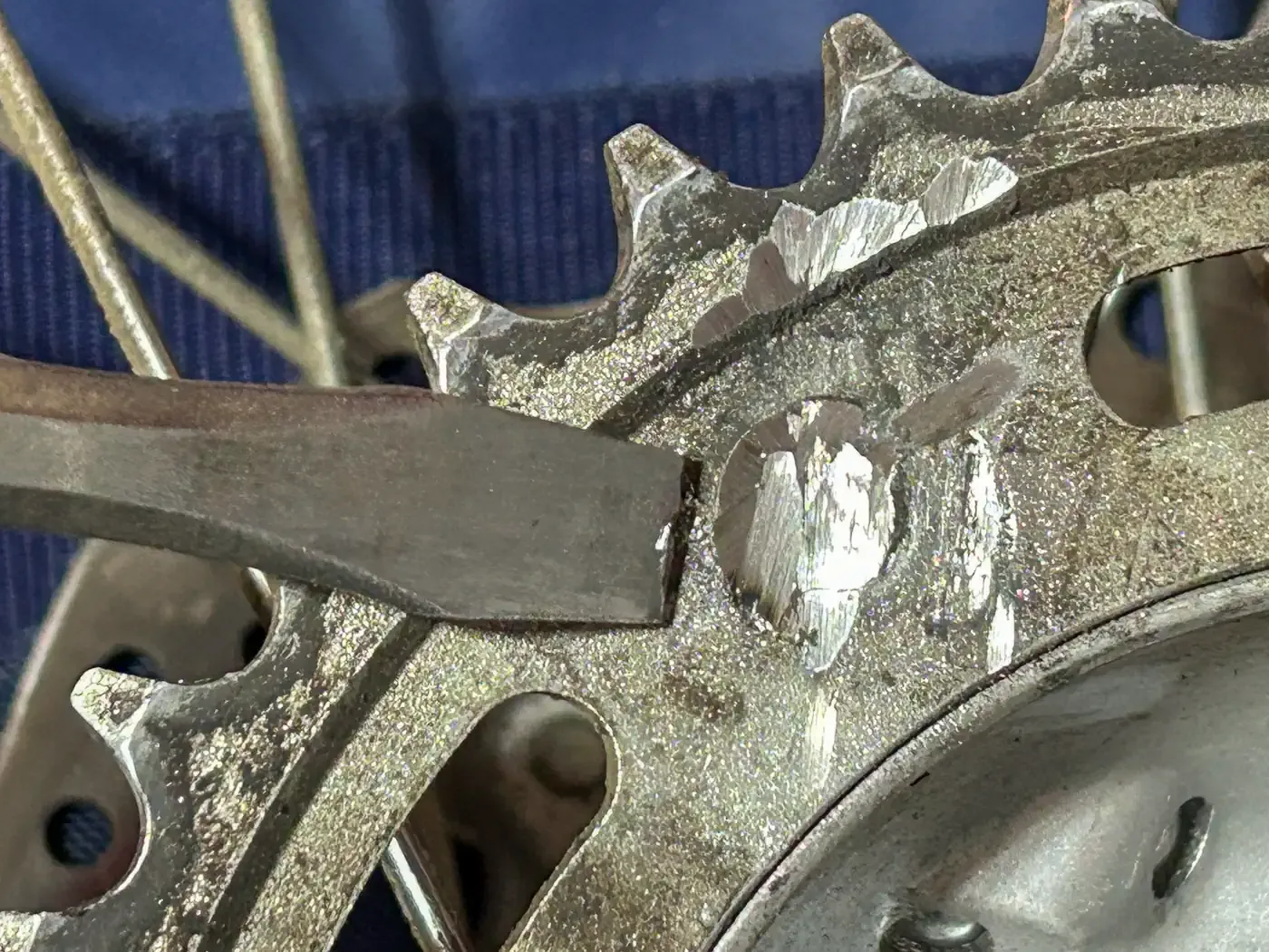 Revisión de la rueda dentada trasera de acero JT Sprockets: CRF300L Rally Gearing