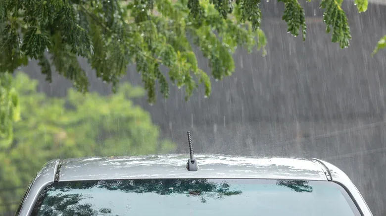 Raindrops Can Cause 9,000-Volt Zaps That Eat Through Your Car's Paint
